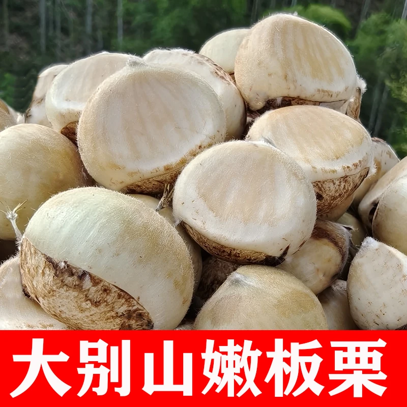 大别山高山新鲜白壳嫩板栗现摘清甜可口