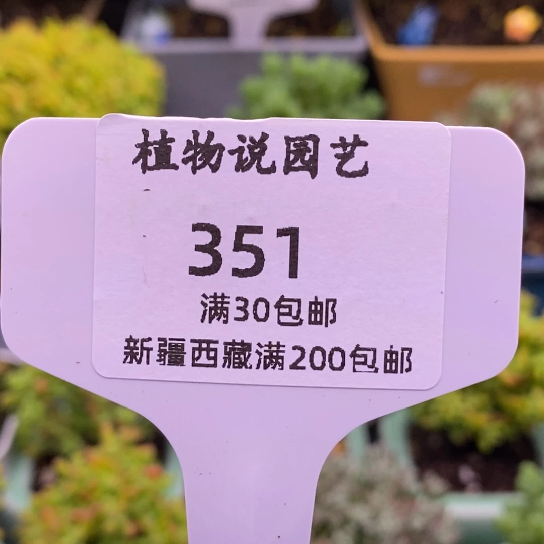 A****351一包土。