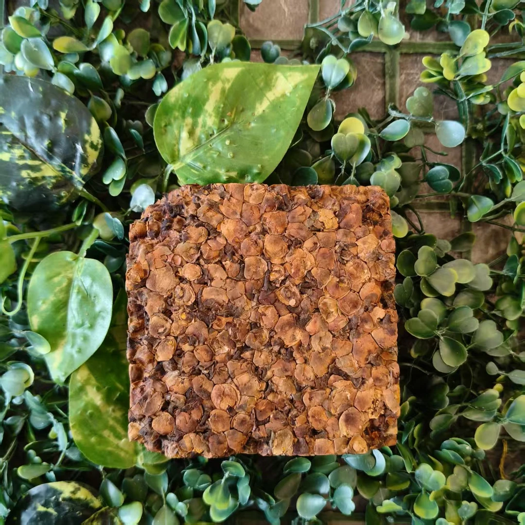 雨腾古茶 菩提紫金D”接M丹”菩提XR亲L本M原D200g/砖 （6月10）