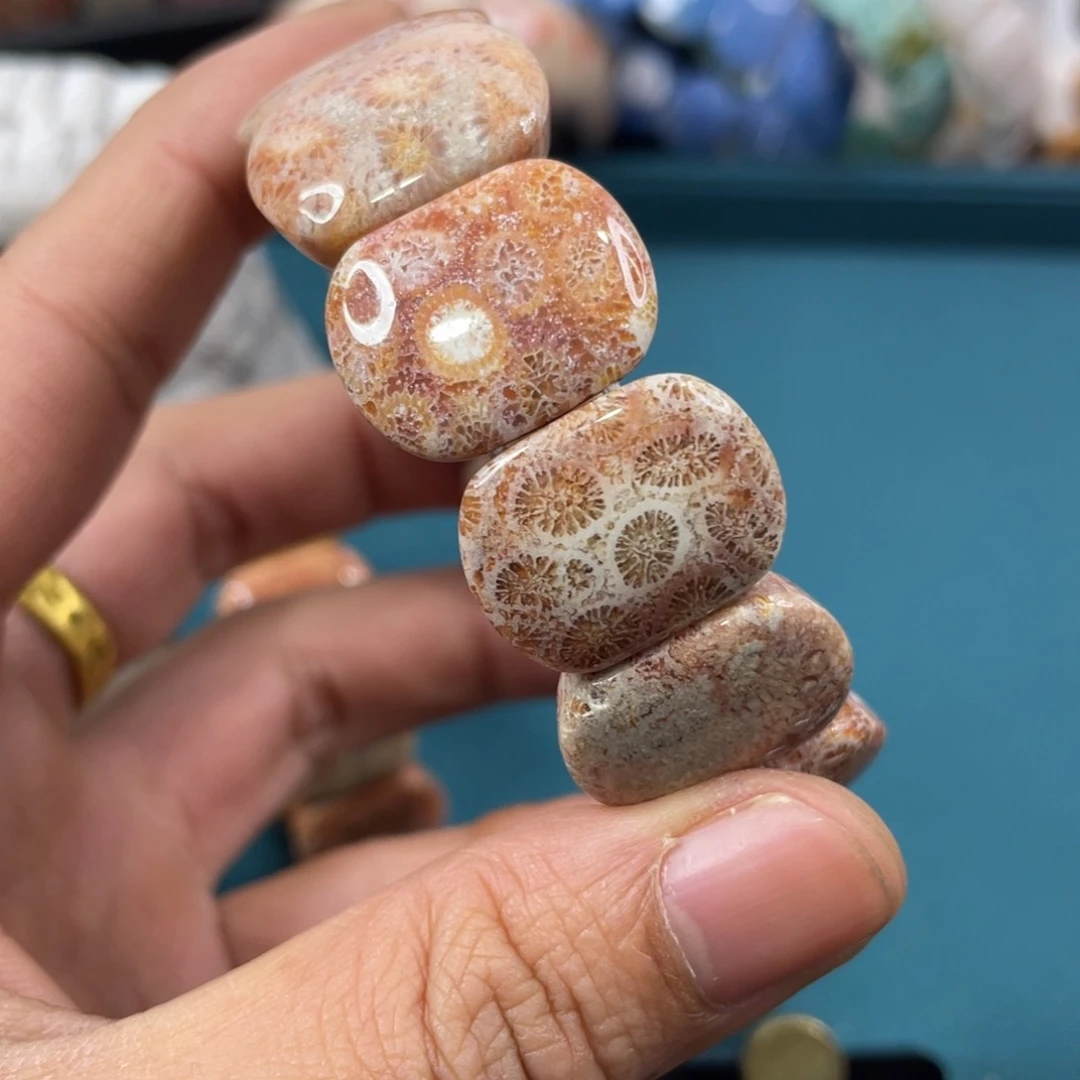 未镶嵌手镯硅化玉