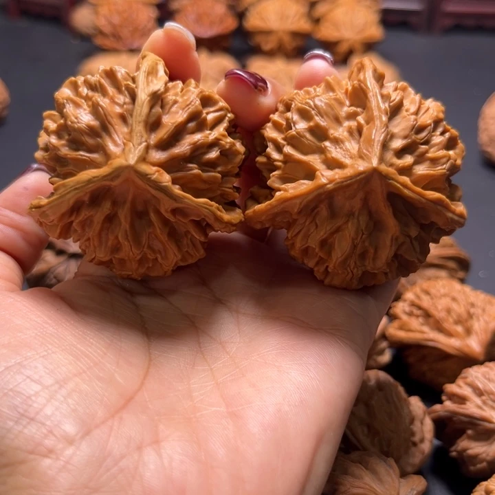 帝王狮子头三棱核桃哈哈哈哈哈哈