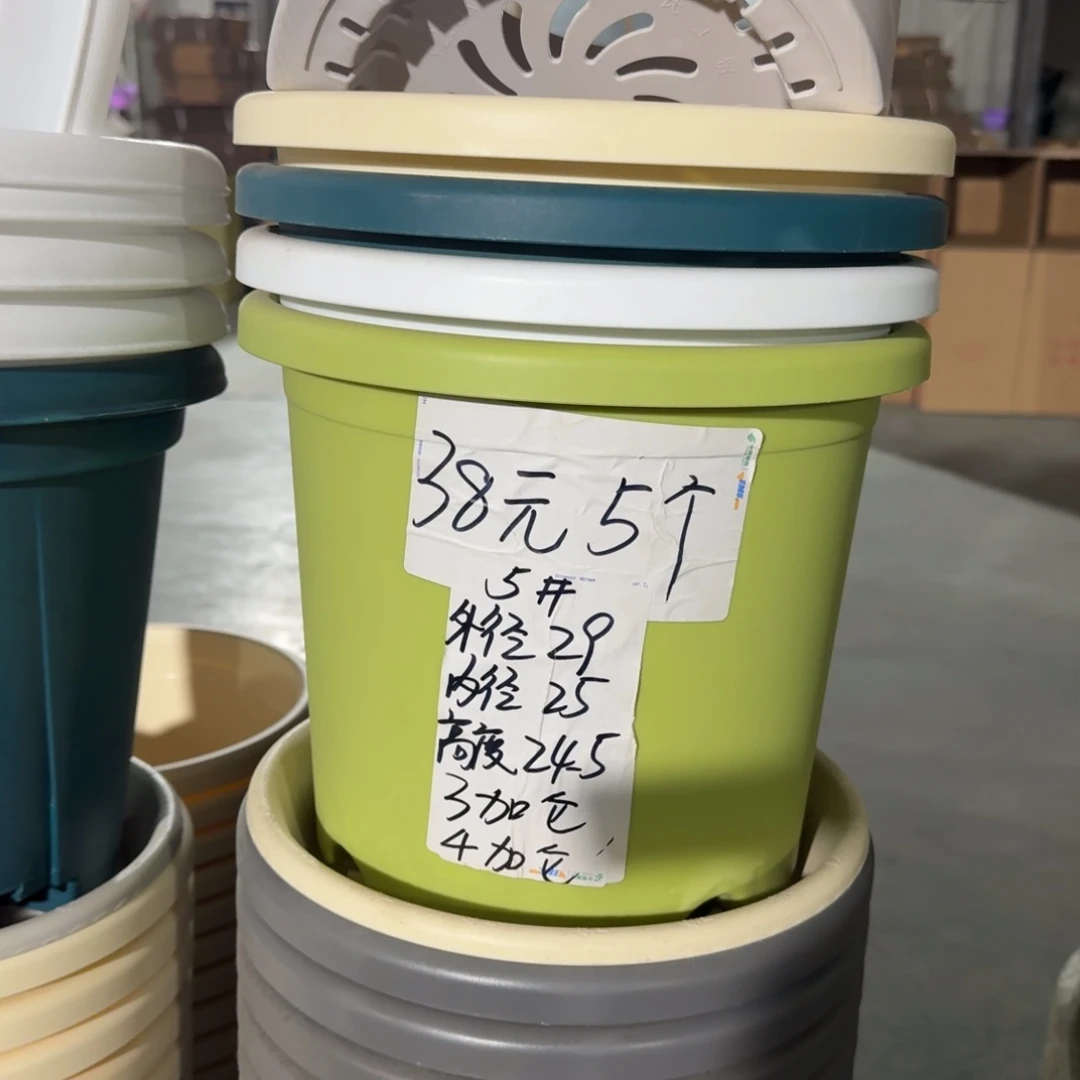 四季5#口径29无拖纯白5个