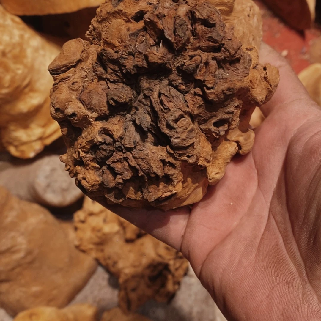 荔枝木韩**客香炉随形1