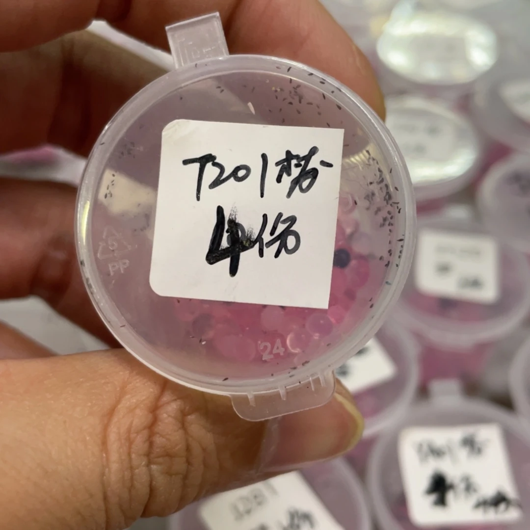 T201珍妮✖️梦露20粒，缀化，特欧母本，