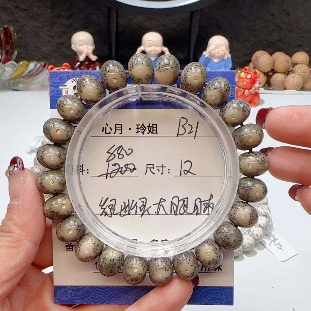 心月星月菩提一号B21