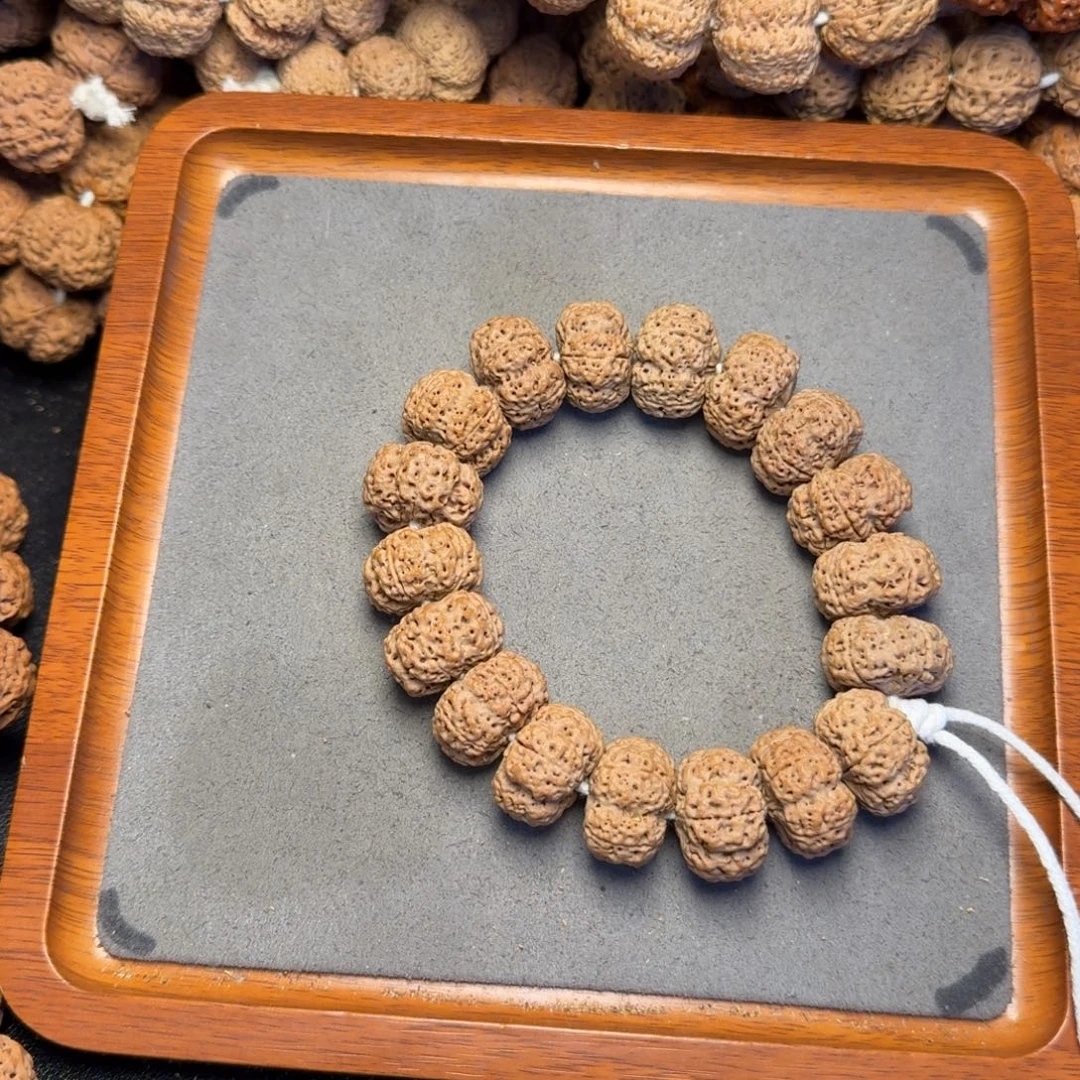 13号尼泊尔大金刚21蜂王夹板