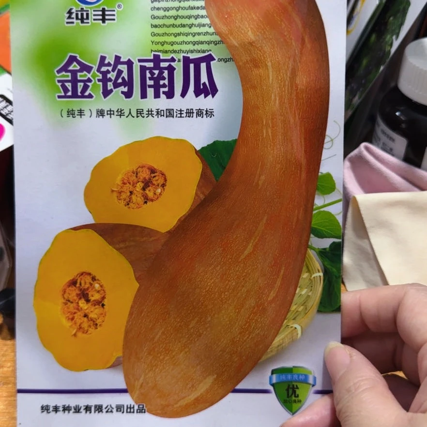 jj金钩南瓜籽今年新种今年新种