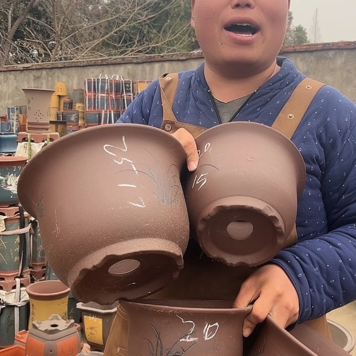 紫砂紫砂花盆盆栽