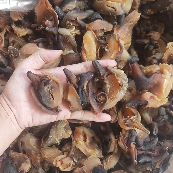 红螺头 响螺嘴煲汤料 鲜甜好喝250克/500克