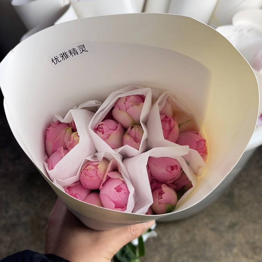 全部花苞醒目（优雅精灵）一扎