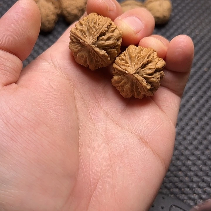 文玩核桃把件霸王龙三棱