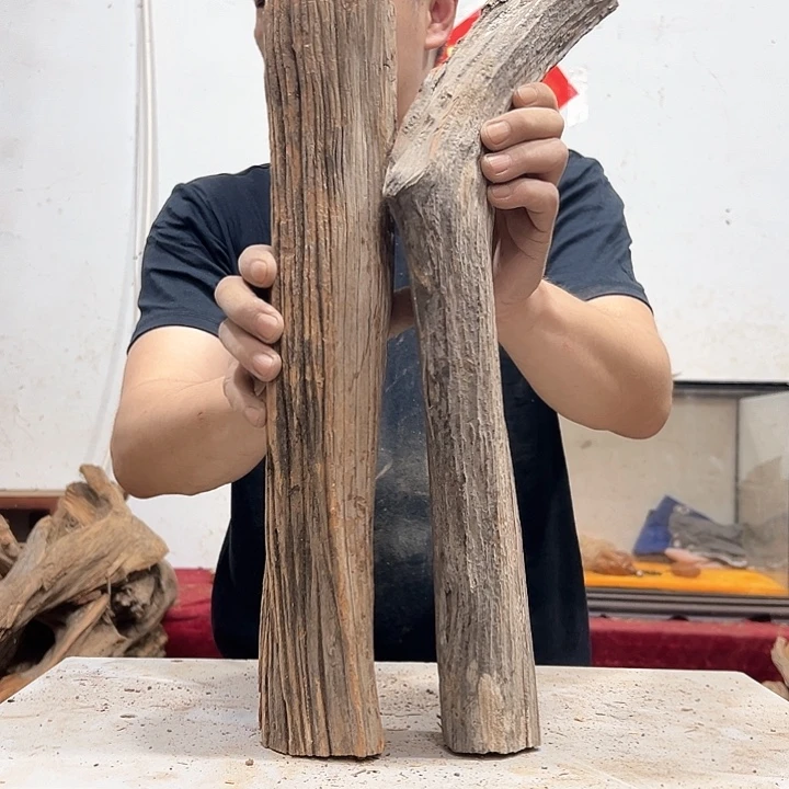 柏木石****园我们的生活也是如此吧