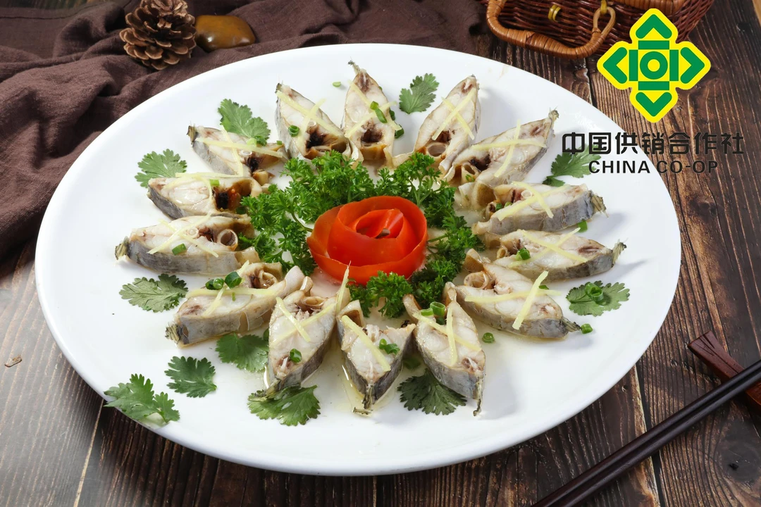 广东台山非遗咸鲜马鲛鱼冷冻250g-500g