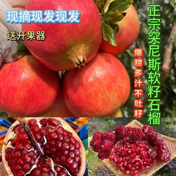 四川会理软籽石榴突尼斯软籽石榴当季新鲜水果无籽甜石榴皮薄多汁