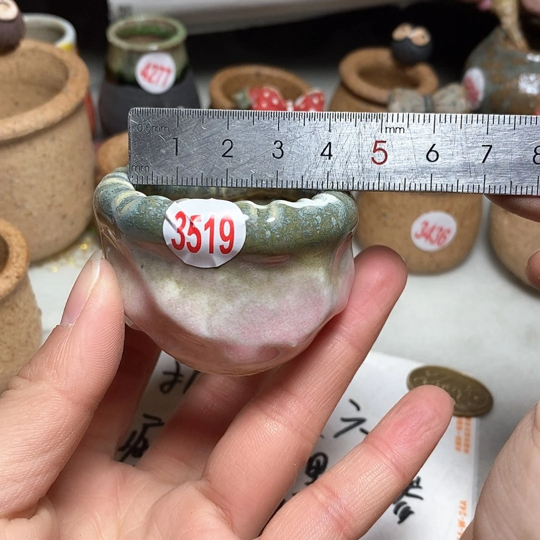 红陶开****拍5送一个小