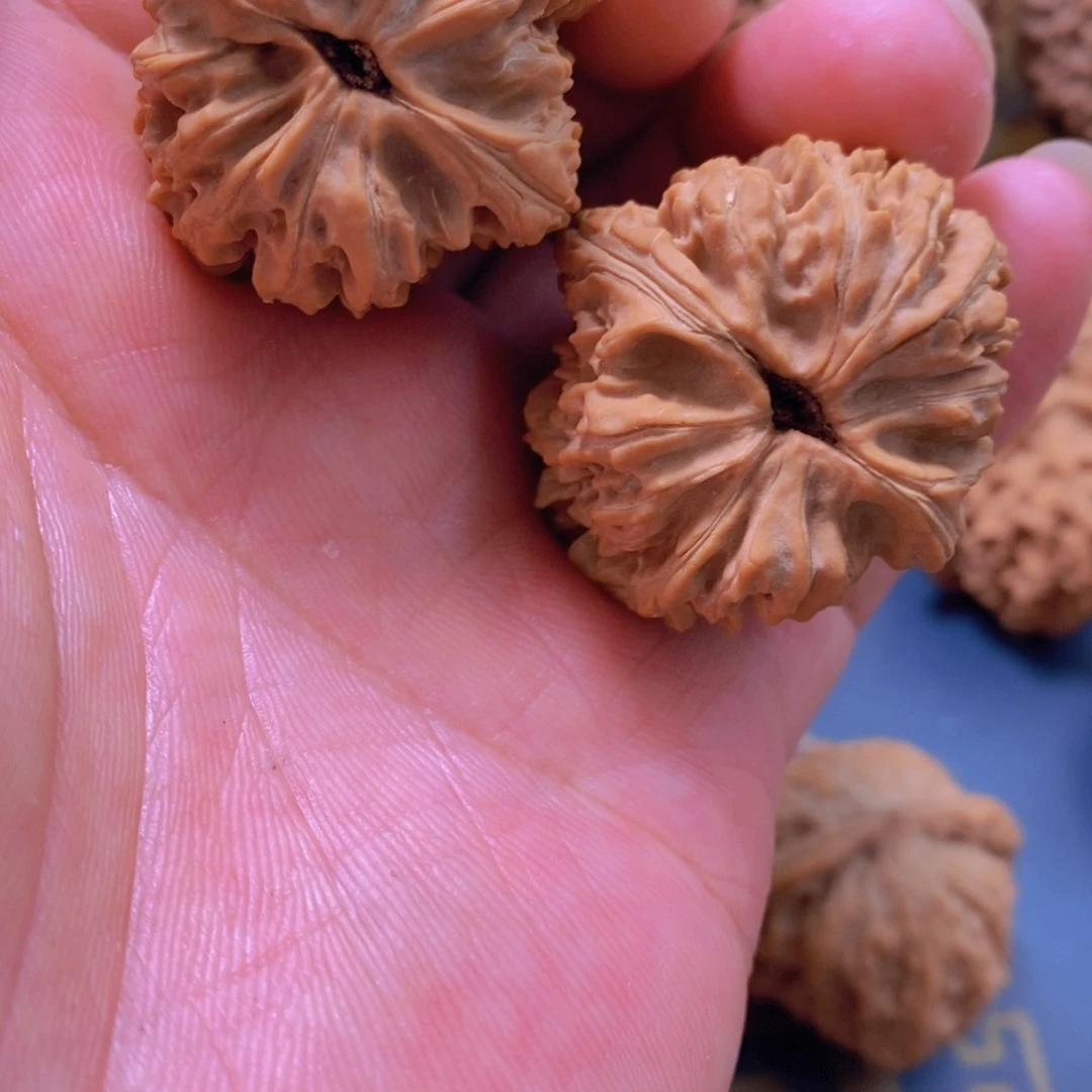 ****G文玩核桃吊坠文玩核桃老款蚂蚁纹