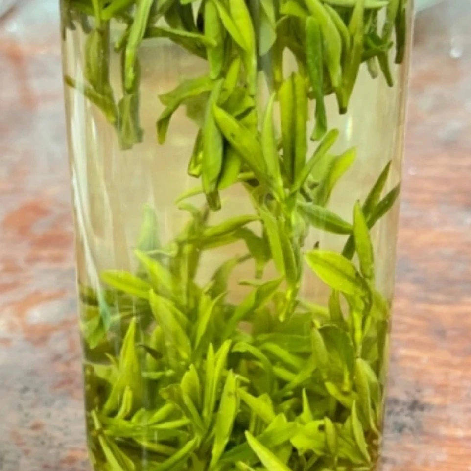 汤池小兰花老品种小兰花浓香耐泡