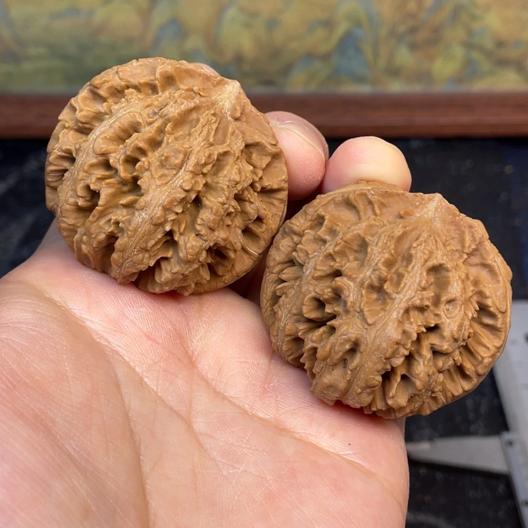 核桃4号链接444444