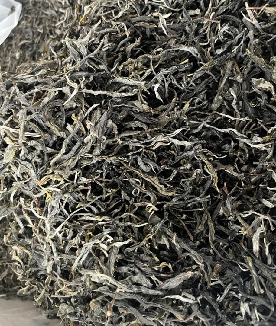 2025年 大雪山荒田古树纯料春茶500g/袋