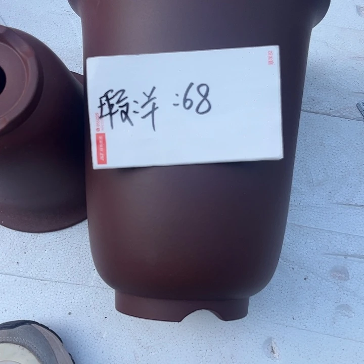 其他紫砂855588585558555555