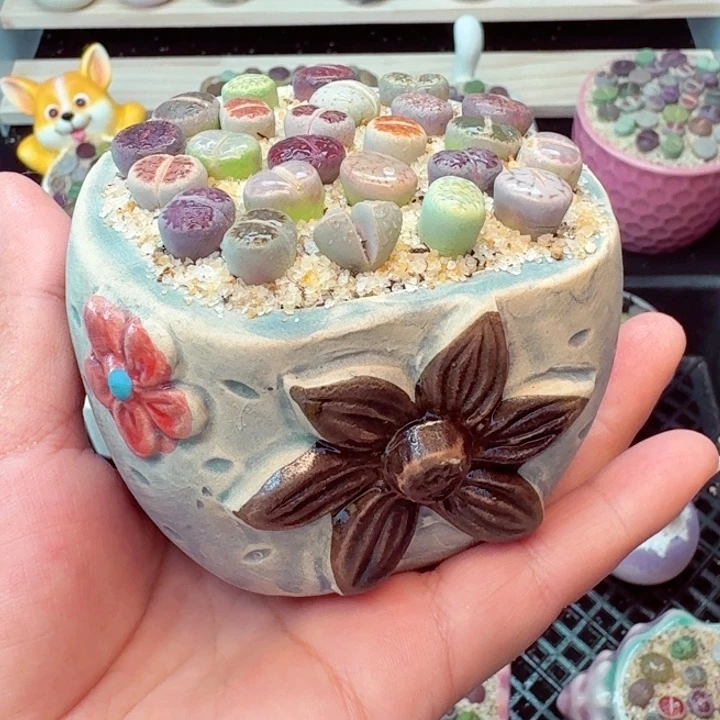 8011零下地区记得拍保温箱