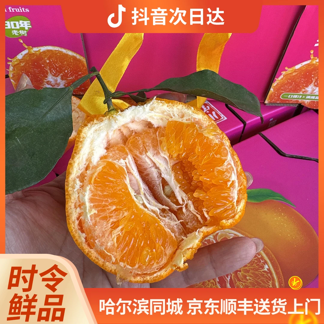 鱼子酱春见耙耙柑  3.5斤/箱四川省