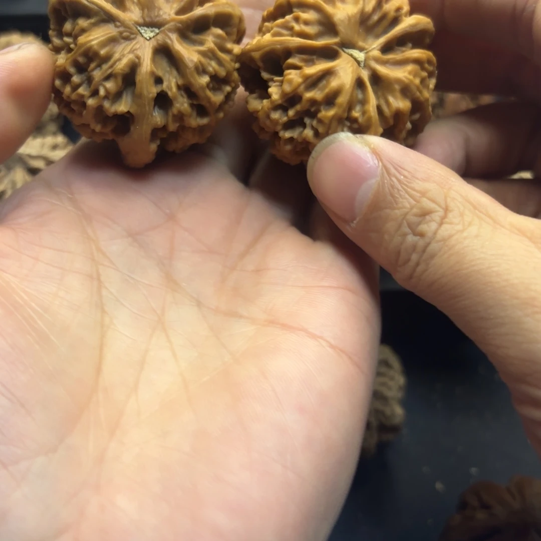 五***七吊坠文玩核桃8855566