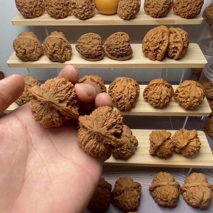 把件核桃超****士40尺老树满天星
