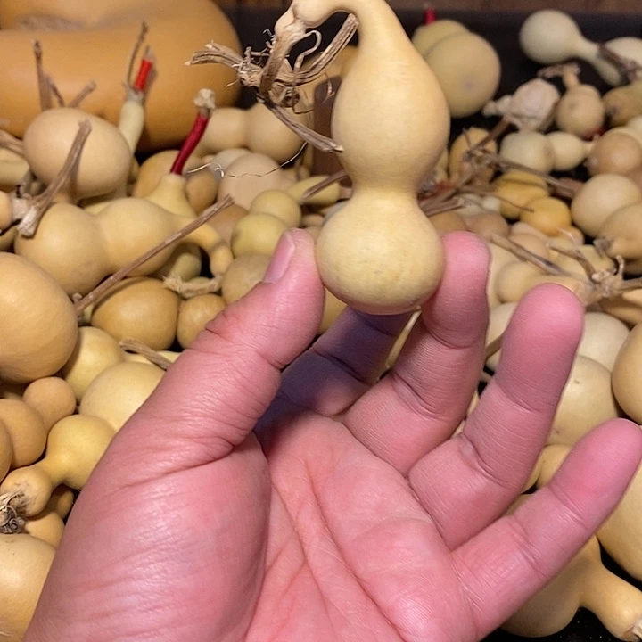 T****g精品葫芦手把葫芦81