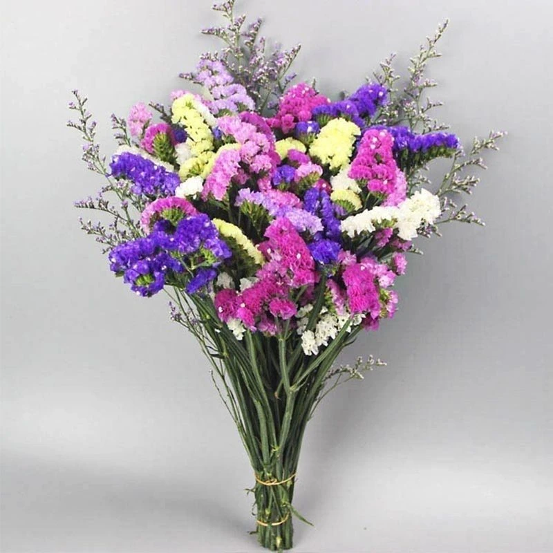 云南勿忘我干花花束真花鲜花发货自然风干客厅装饰摆设件茶几送人