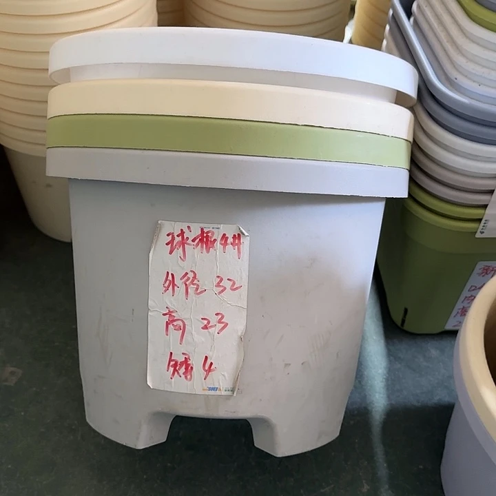 球根4#口径32无托果绿5个