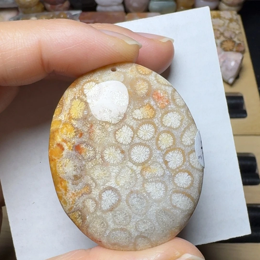 硅化玉飘彩的椭圆未镶嵌