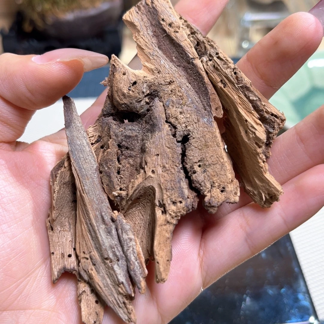 香榧木海南老房梁料香胚12克