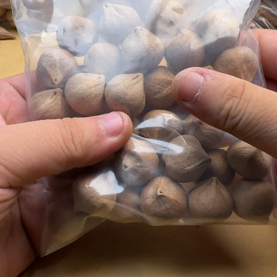 梁***大橄榄核手串/手链1