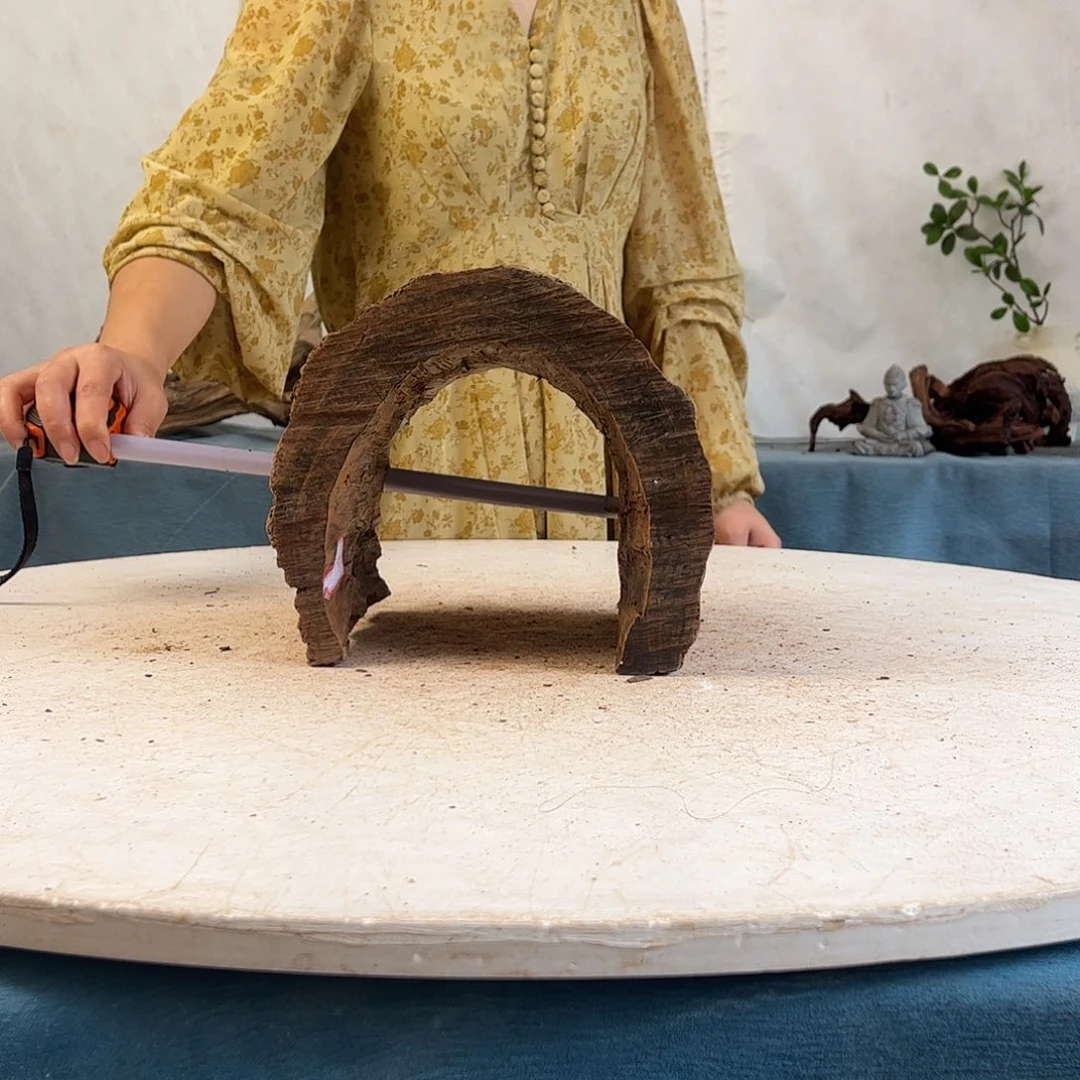 沉木造景寄居蟹景