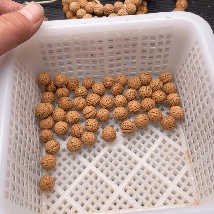 X***室散籽批发小桃核80