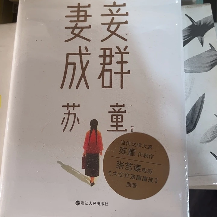 妻妾成群全新精装
