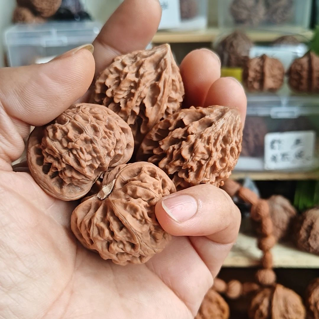 练手对，招财鼠和宫灯狮子头