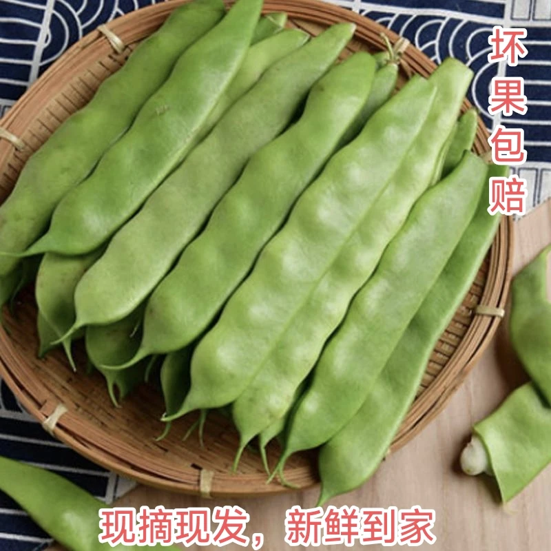 东北新鲜油豆角现摘现发自家菜园无筋黑龙江黑土地产坏果包赔包邮