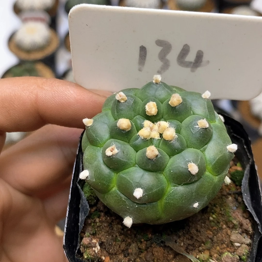 134福利特价福利特价咯