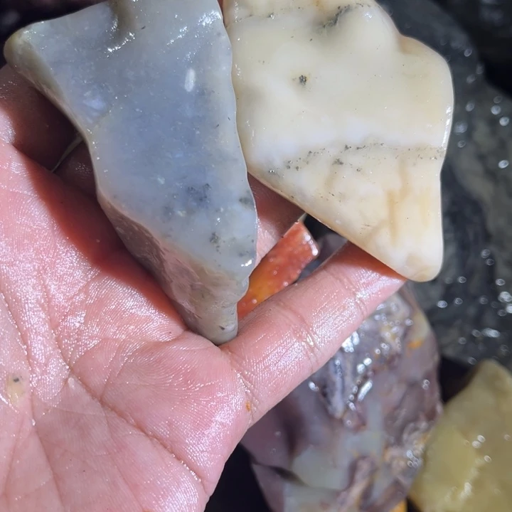 上***室寿山石8888888888888