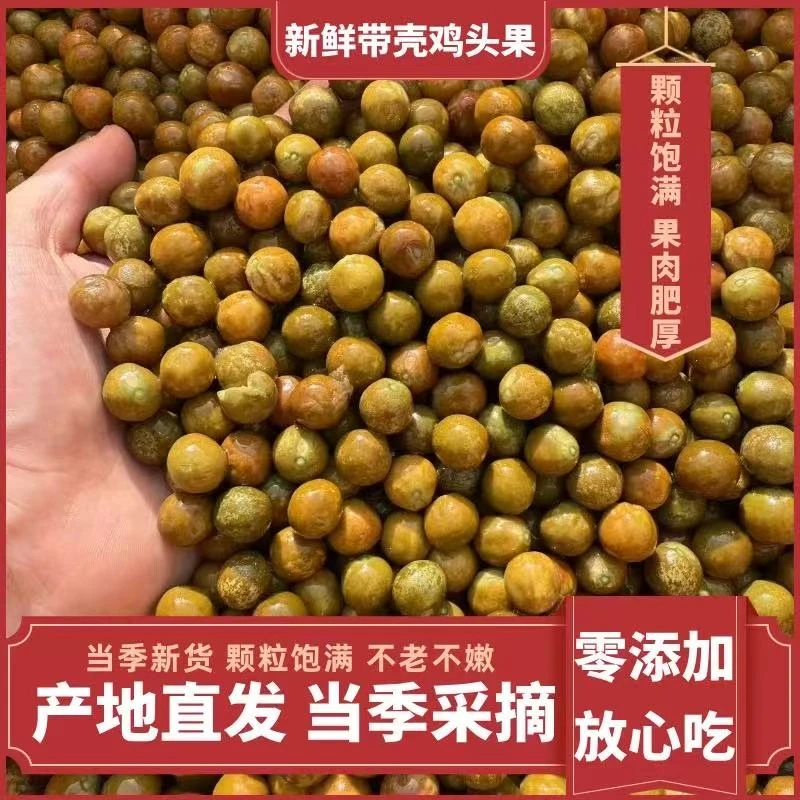 安徽霍邱2025鸡头果二青一级中果新鲜芡实带壳打磨不苦不涩批发