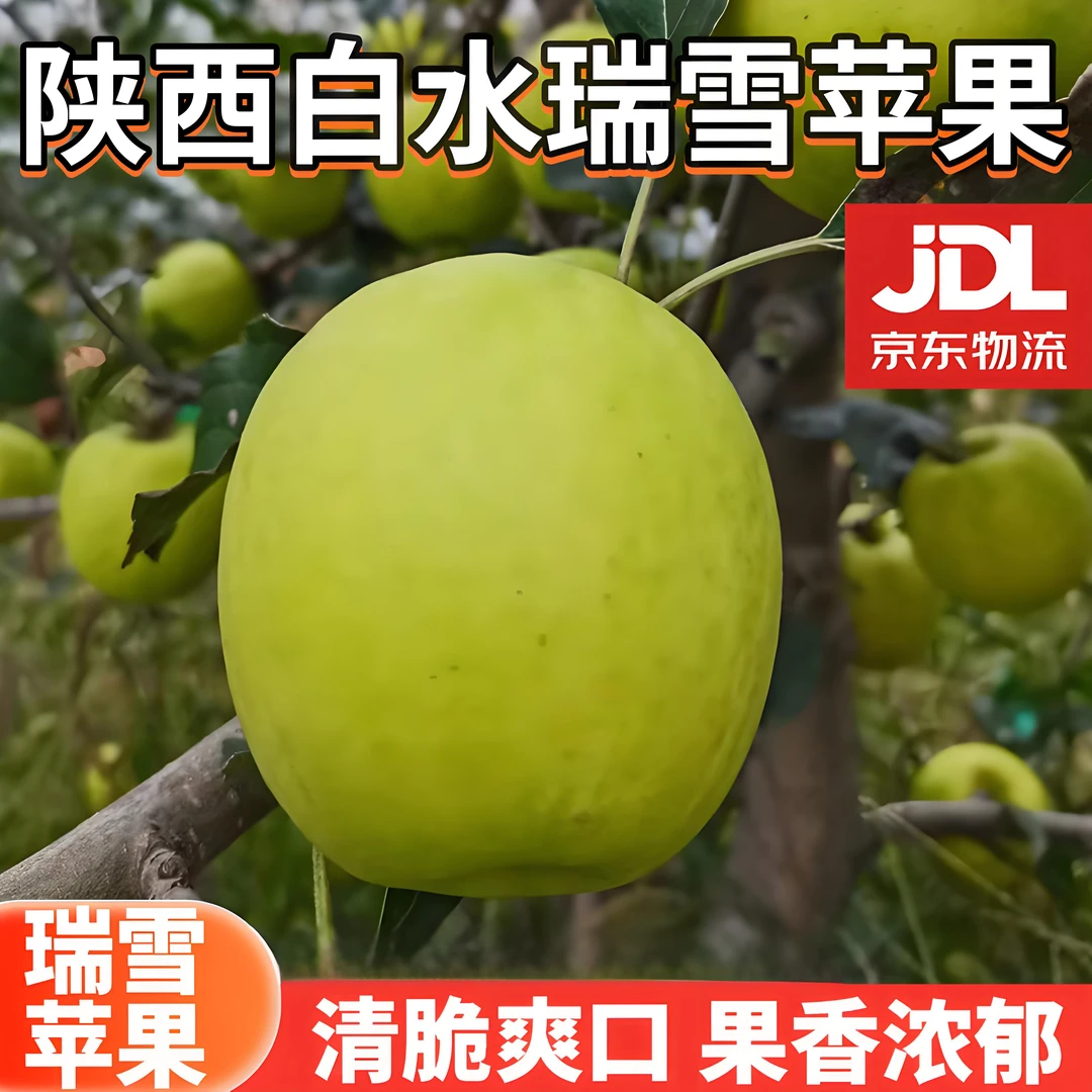 【泉盛隆】陕西白水瑞雪苹果新品种纯甜无酸4-6.5斤装果径70-85mm