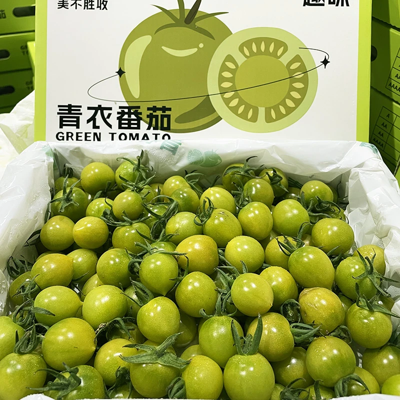 【青衣番茄】【礼盒装】【1.7斤】爆浆小番茄礼盒装釜山小番茄圣女果甜