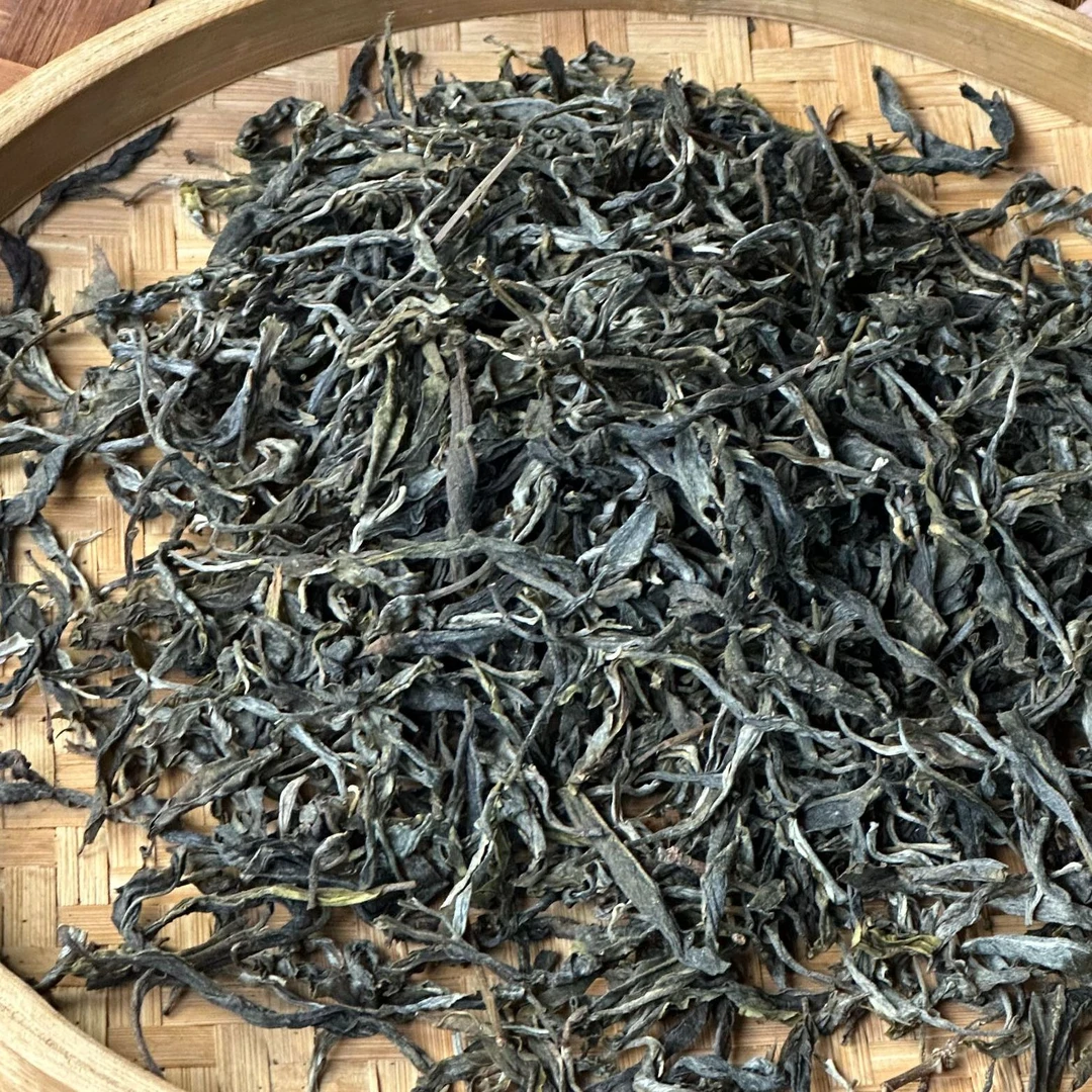 2024年小户赛古树秋  生茶  250克一份  2-11【41号】