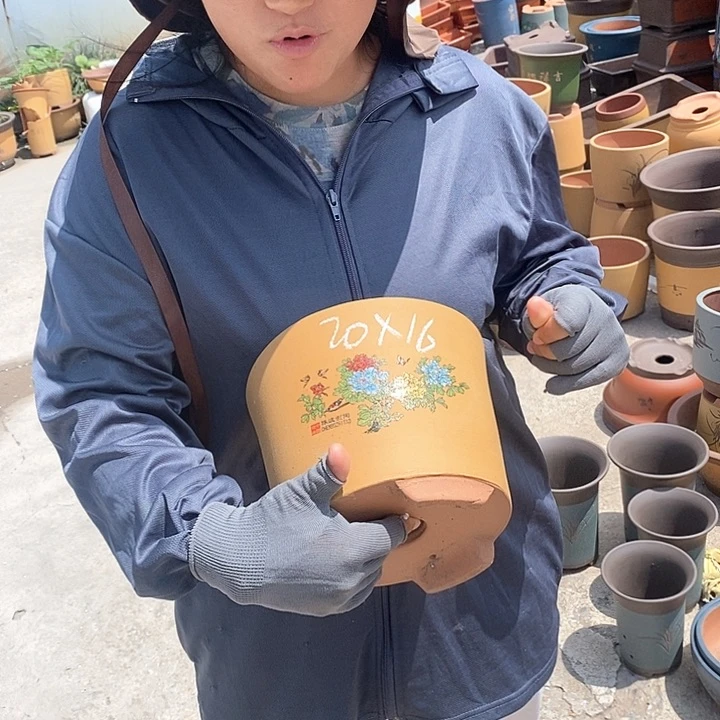 紫砂花盆盆栽花卉种植