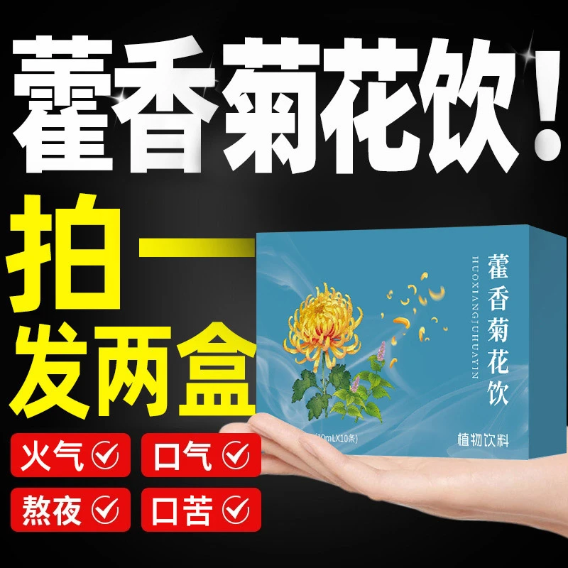 【拍一发二】藿香清口汤草本配方蒲公英清口饮晨起异味藿香菊花饮夏