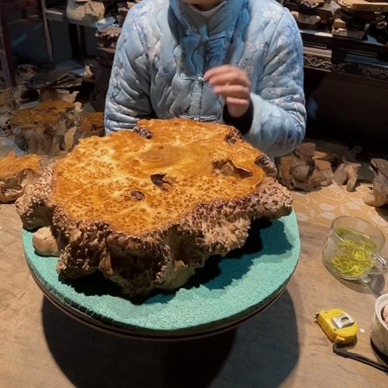 书***延香杉木四川成都市