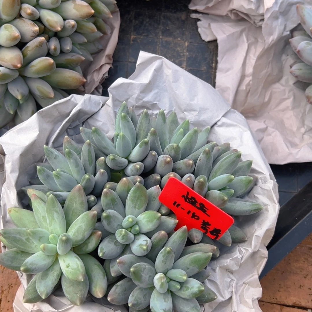 111411111111111111111111