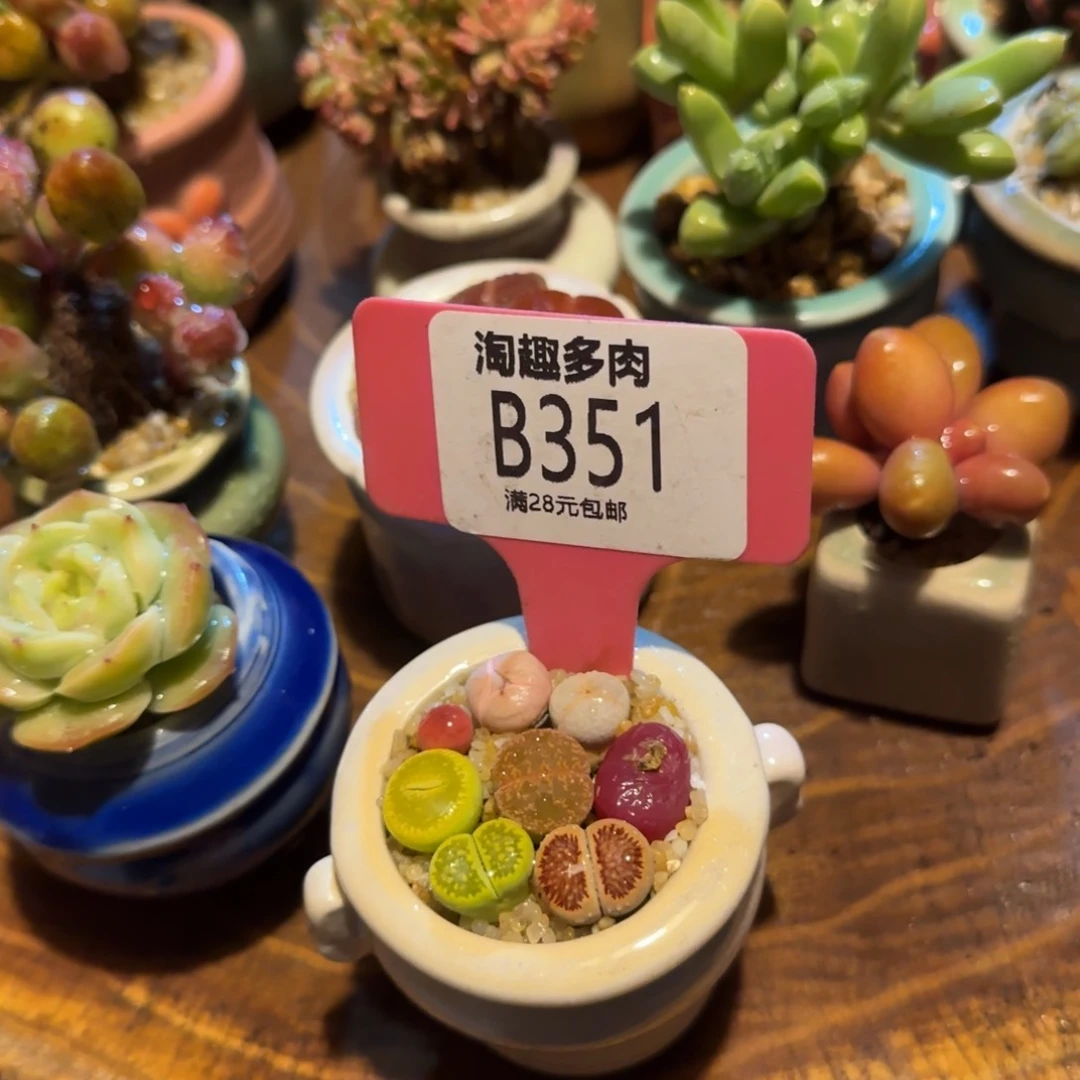 茗多肉植物，哇塞哇塞，乱七八糟啊